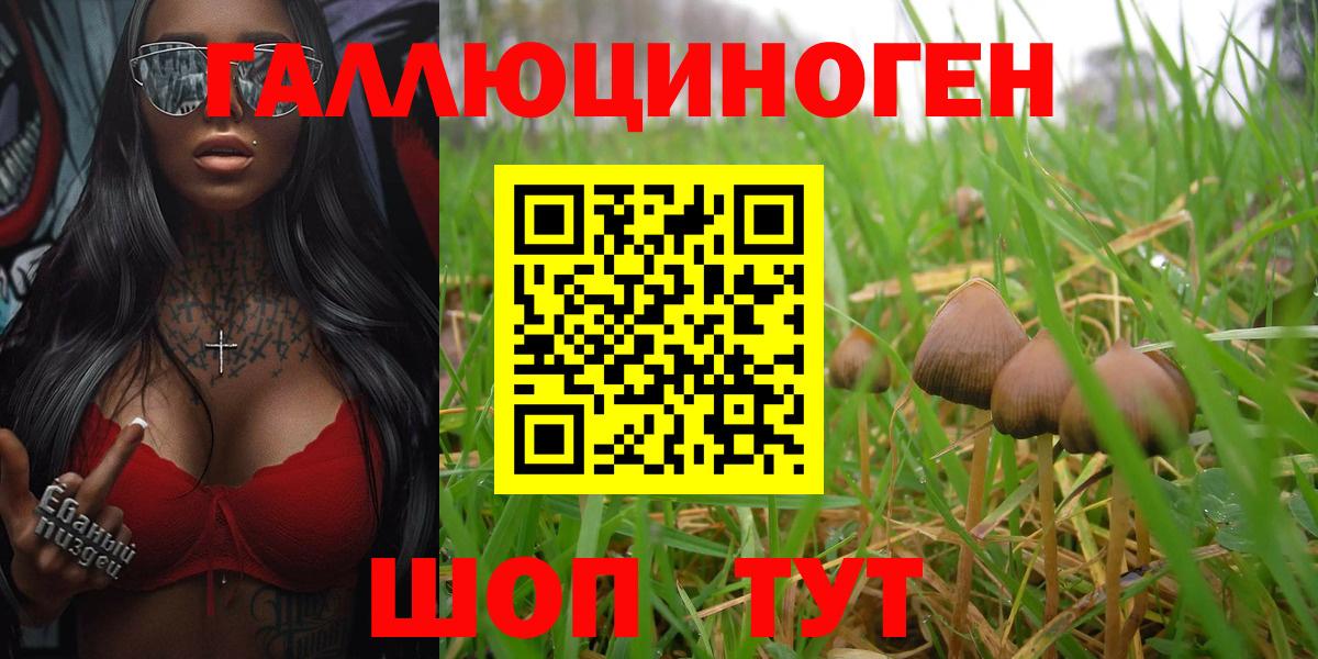 Галлюциногенные грибы прущие грибы Черногорск