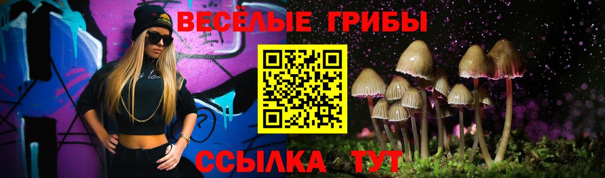 Псилоцибиновые грибы Psilocybe  Вход с VPN  купить наркоту  Черногорск 
